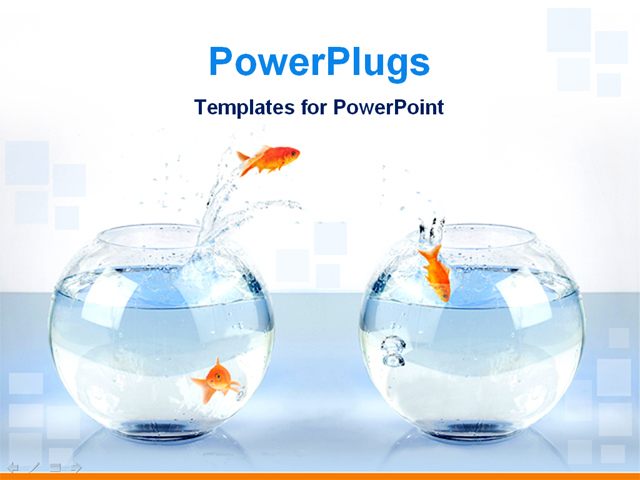 powerpoint template three gold fish jump from one bowl to fish bowl size chart