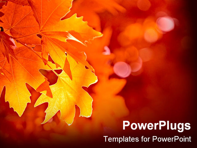The Leaves Have Turned A Beautiful Array Of Fall Colors Powerpoint Template Background Of Free Fall Powerpoint Templates
