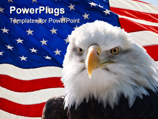 bald eagle template