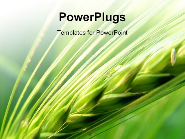 garden powerpoint templates