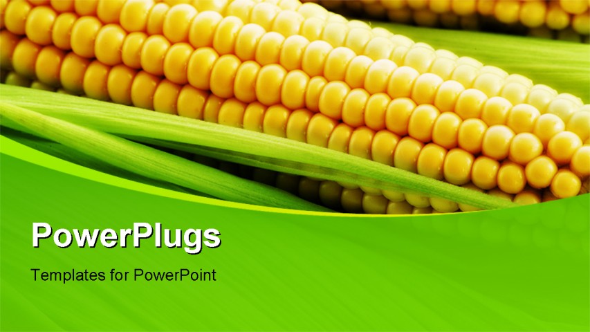 PowerPoint Template about food, agriculture, abstract