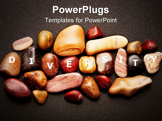 Variety Of Smooth Pebbles Of Different Colours Is A Metaphor For Ethnic Diversity Powerpoint Ethnic Powerpoint Templates