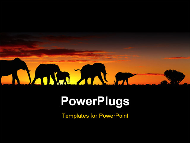 Powerpoint Template A Group Of Elephants With Sunset In The Background 11076 Elephant Powerpoint Template
