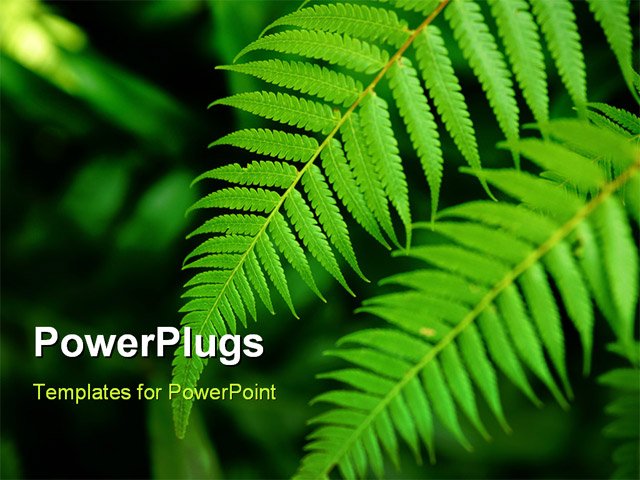 PowerPoint Template about fresh green leaf, nature, background