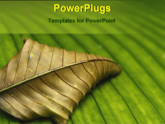 PowerPoint Template about general, leaf, green