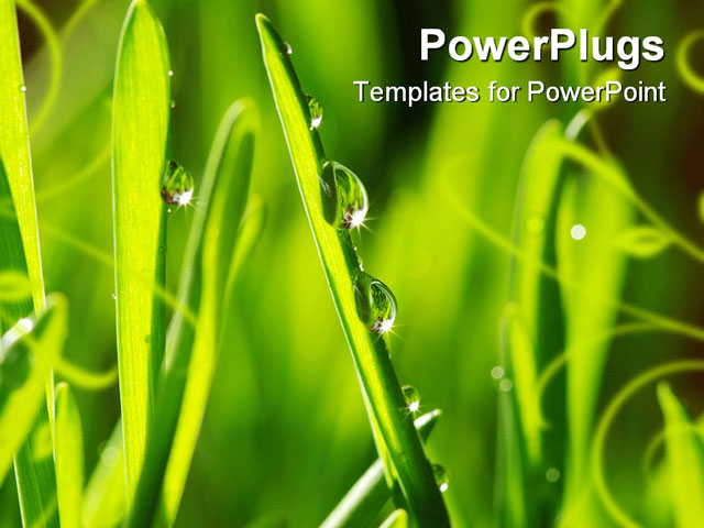 PowerPoint Template about grass, drops, environment