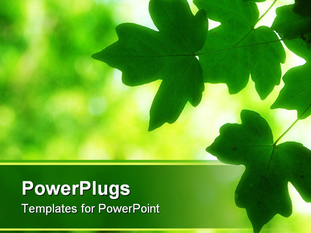 leaves powerpoint template