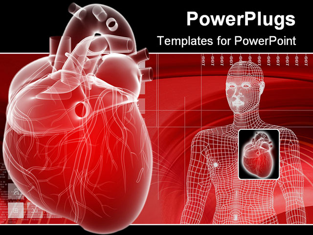 function of heart in human body ppt