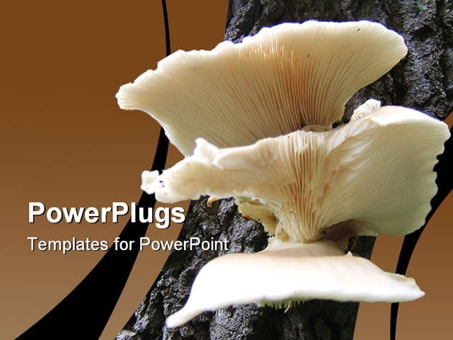 PowerPoint Template about mushrooms, tree, fungus