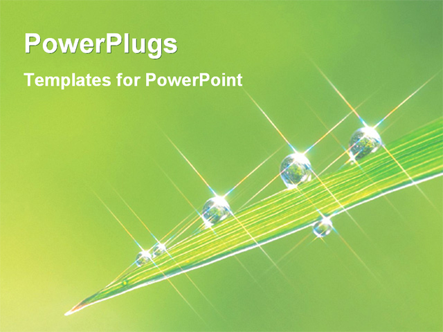 PowerPoint Template about nature, leaf, due drop