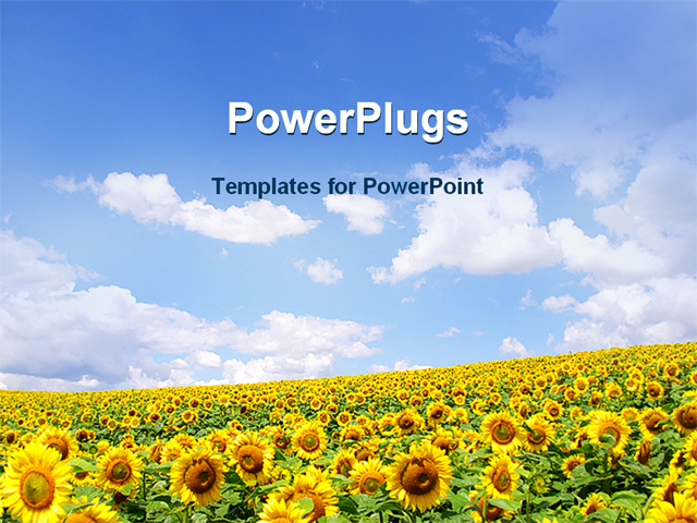 Powerpoint Template Sunflower Field With White Clouds On Bright Blue Sky Background 21541 Sunflower Powerpoint Template