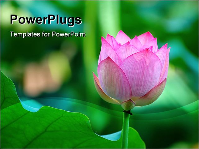 PowerPoint Template about garden, environment, art