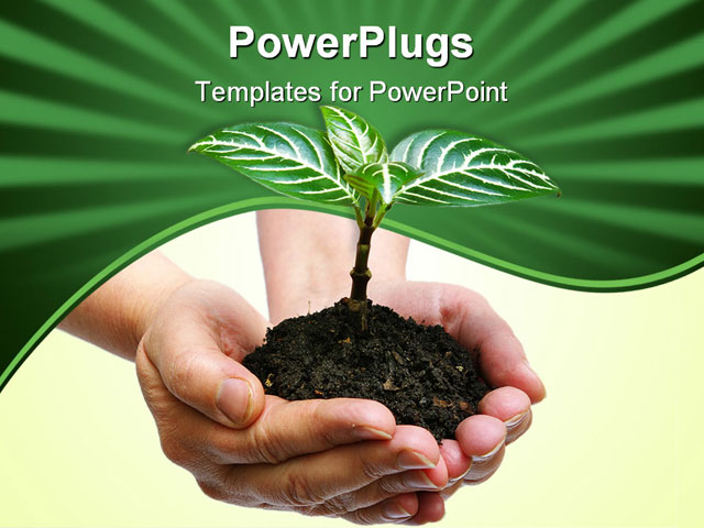 PowerPoint Template about plant in hands, body, concept
