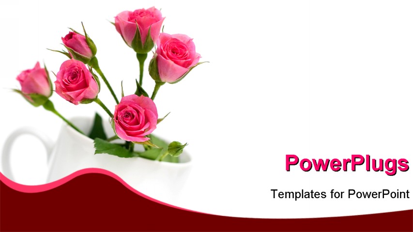 powerpoint-template-a-bunch-of-pink-colored-flowers-in-a-white-cup-25472