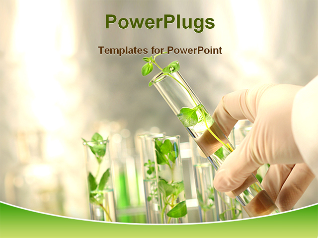 PowerPoint Template about science, experiment, lab