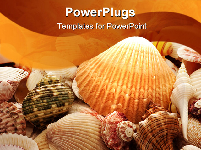 PowerPoint Template about sea shell background, background, brown