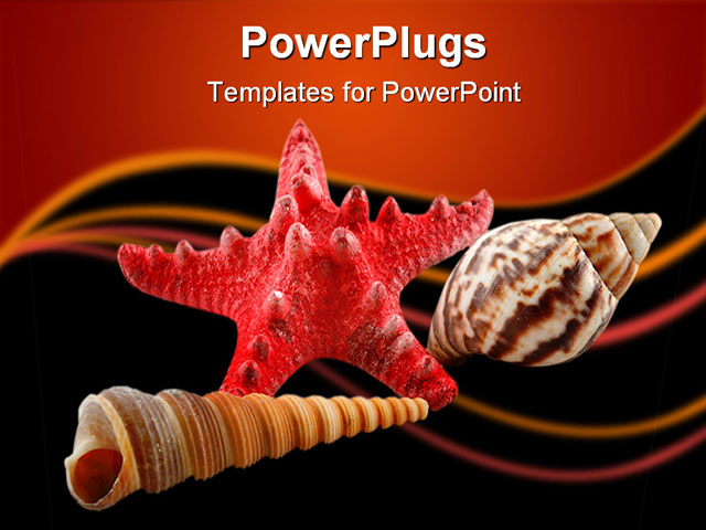 PowerPoint Template about colored seashells, animals, backgrounds