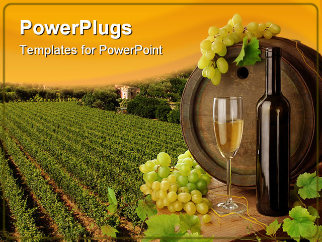 PowerPoint Template about wine, vineyard, sunset