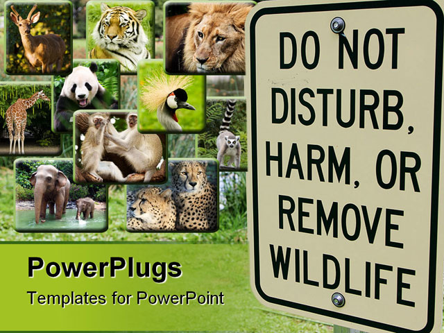 PowerPoint Template about wildlife sign, animal, disturb
